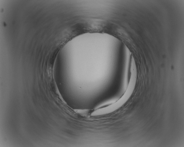 X0000067830425200604271559