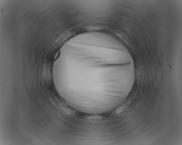 X0000067830426200604271559