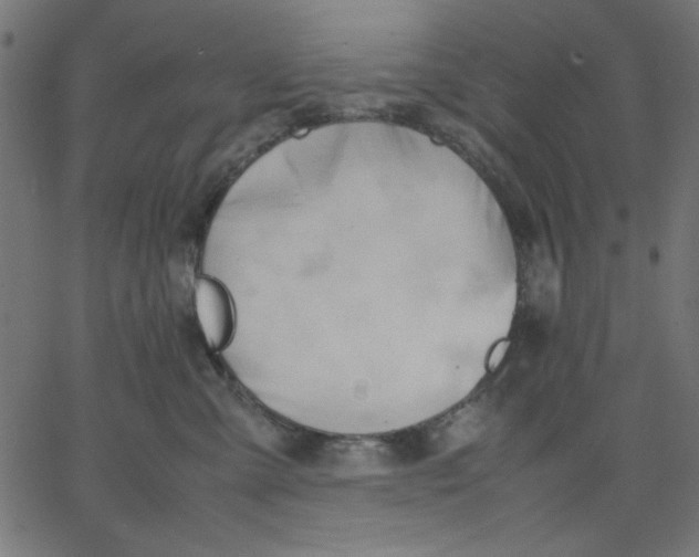 X0000067830427200604271559