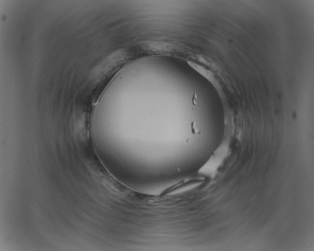 X0000067830428200604271559