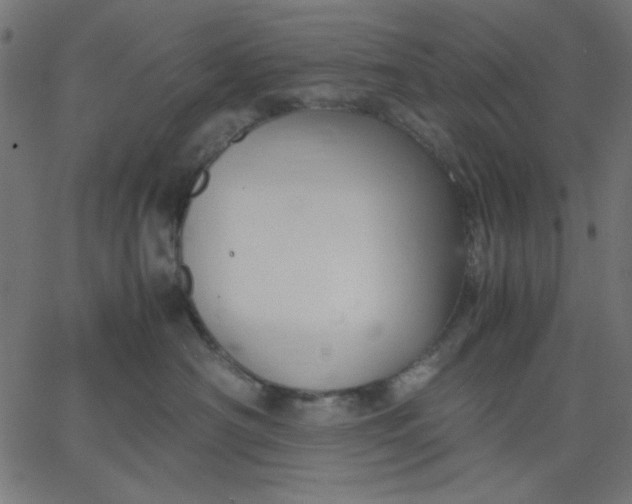 X0000067830430200604271559