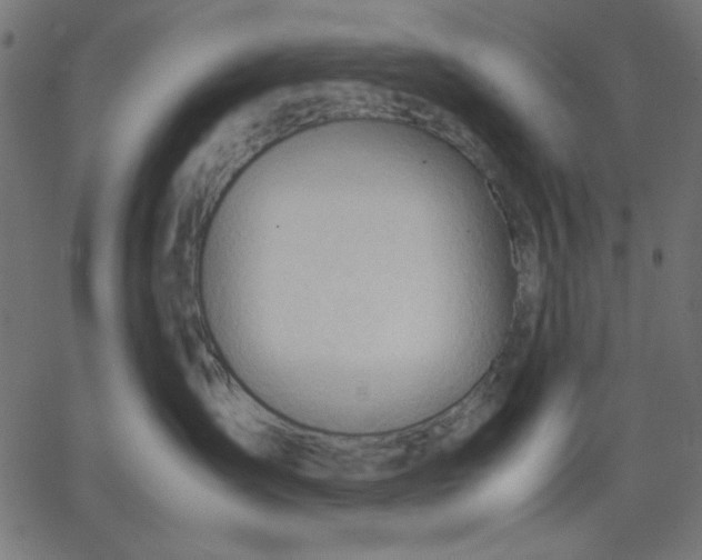 X0000067830431200604271559