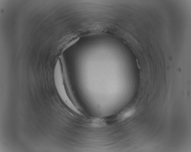 X0000067830432200604271559