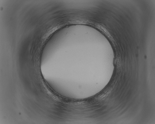 X0000067830433200604271558