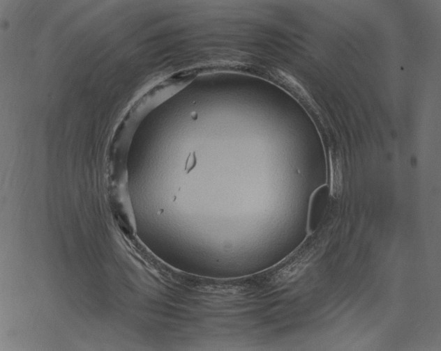 X0000067830435200604271558