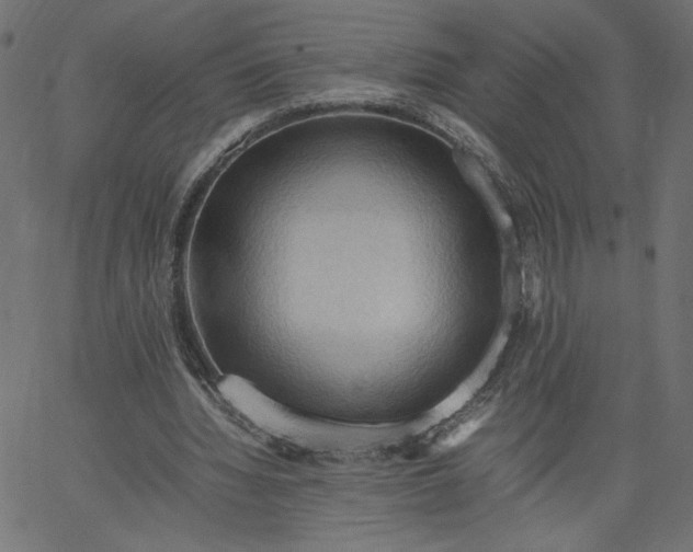 X0000067830436200604271558