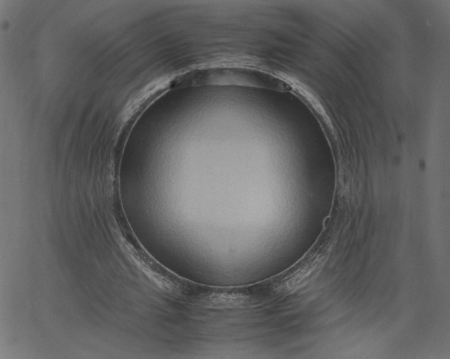 X0000067830437200604271558