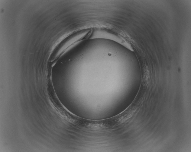 X0000067830440200604271558