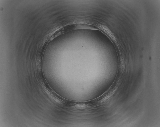 X0000067830441200604271558