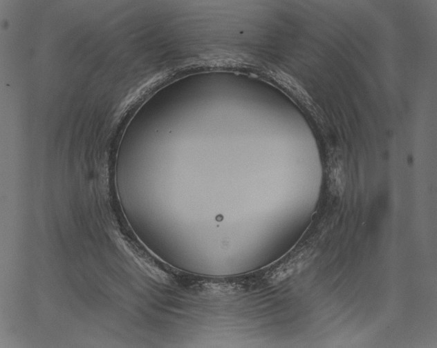 X0000067830442200604271558