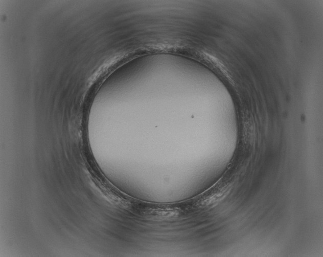 X0000067830443200604271558