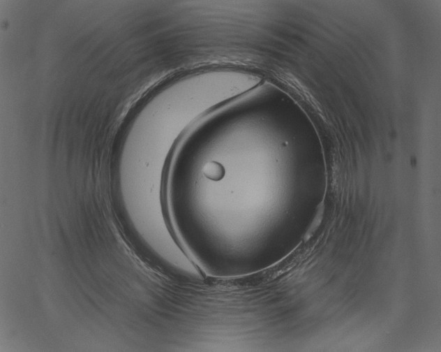 X0000067830444200604271558