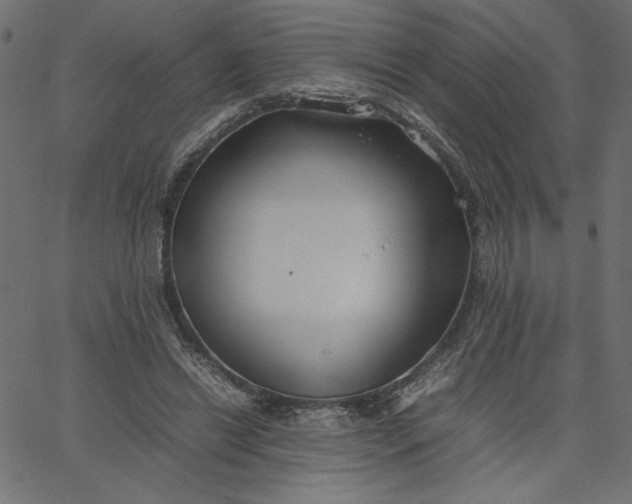 X0000067830446200604271558