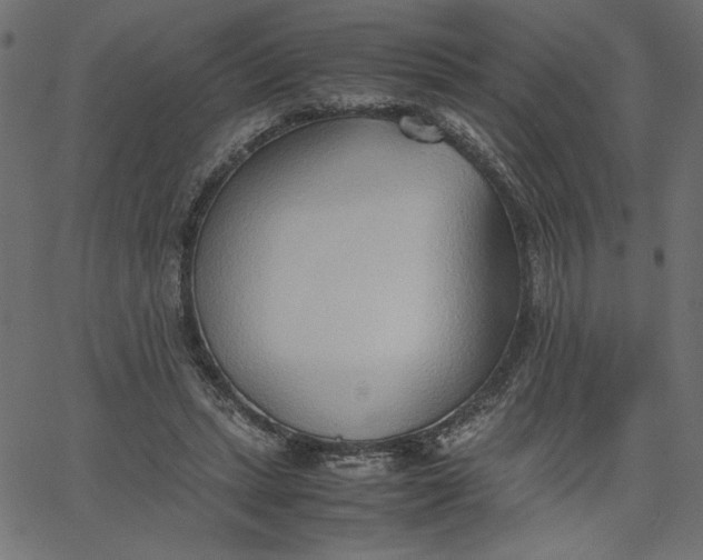 X0000067830447200604271558