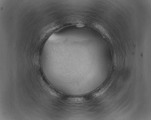 X0000067830449200604271558