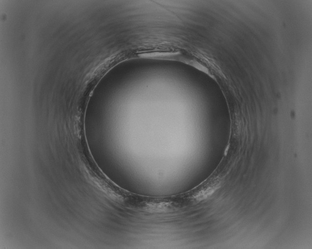 X0000067830450200604271558