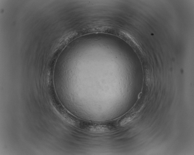 X0000067830451200604271558