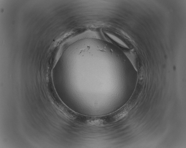 X0000067830452200604271558