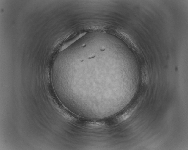 X0000067830453200604271558