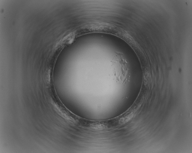 X0000067830454200604271558