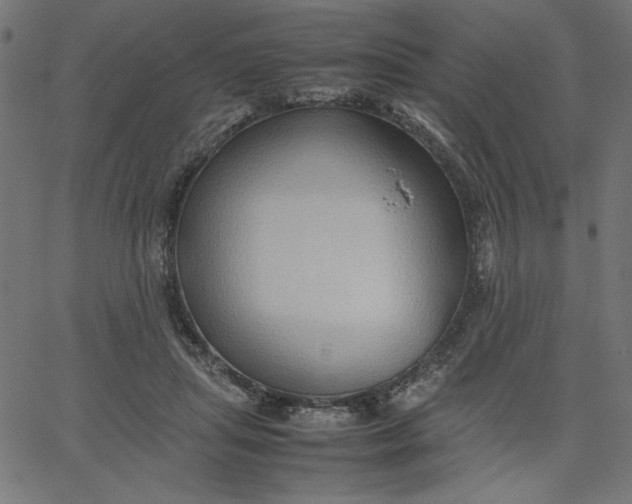 X0000067830455200604271558