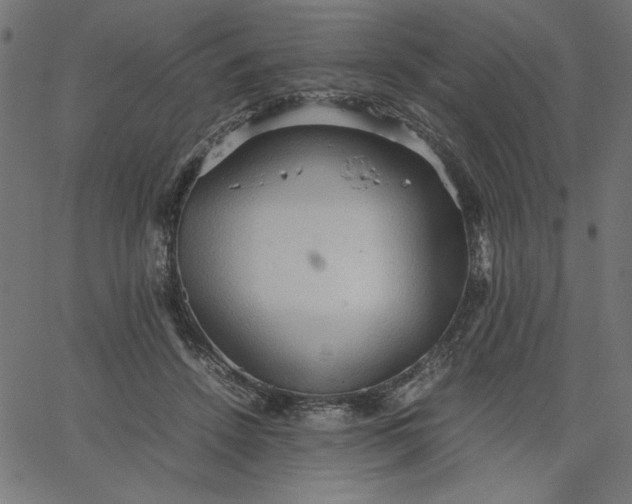 X0000067830456200604271559