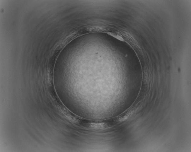 X0000067830457200604271559