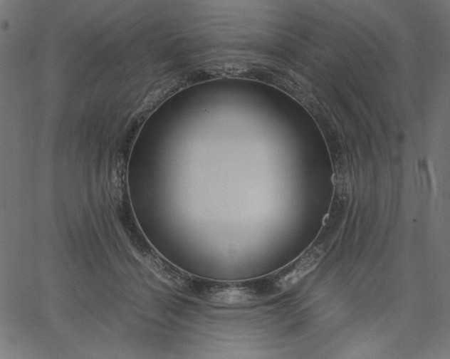 X0000067830460200604271559