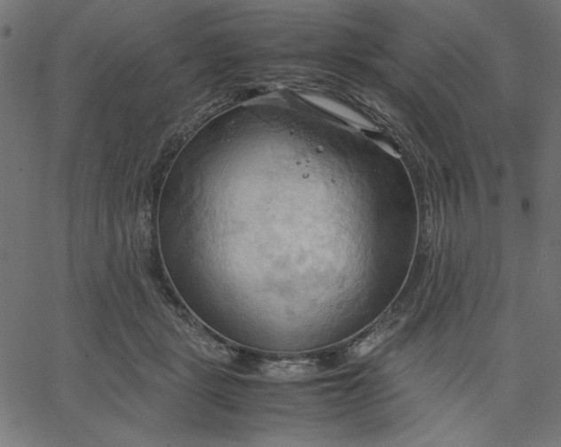 X0000067830461200604271559