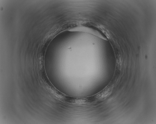 X0000067830462200604271559