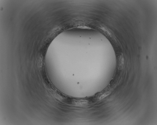 X0000067830463200604271559