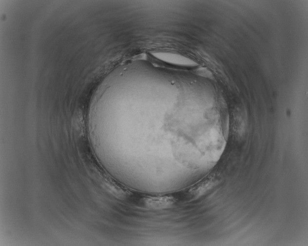 X0000067830465200604271559