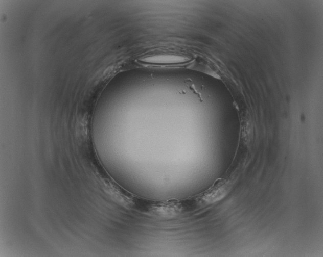 X0000067830466200604271559