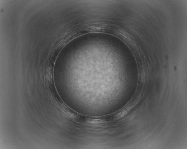 X0000067830467200604271559