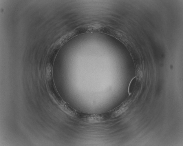 X0000067830468200604271559