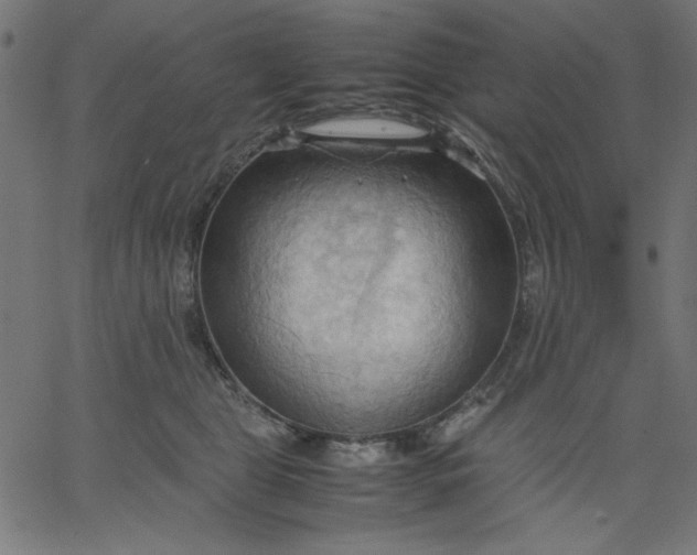 X0000067830469200604271559