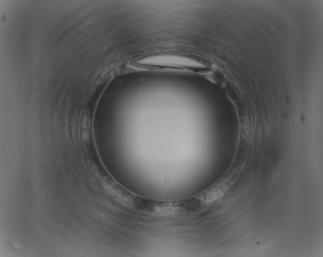 X0000067830470200604271559