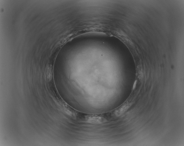 X0000067830471200604271559