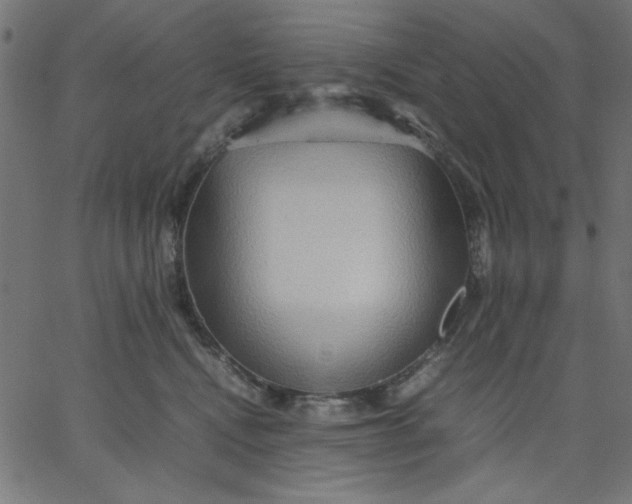 X0000067830472200604271559