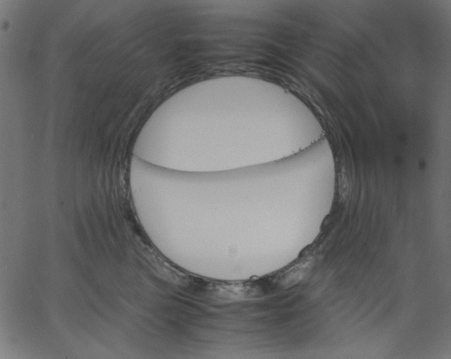 X0000067830473200604271559