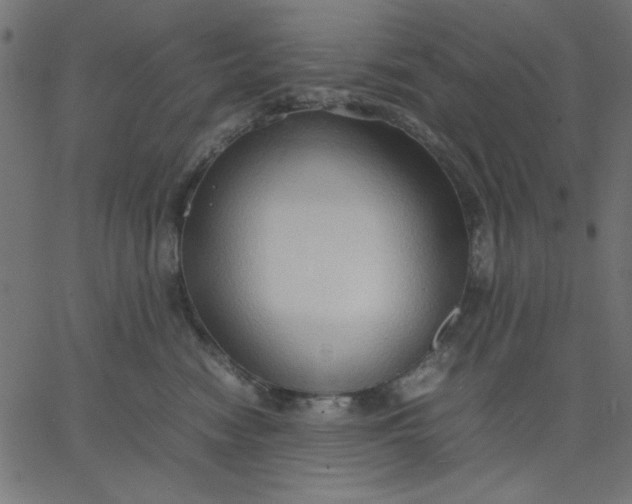 X0000067830474200604271559