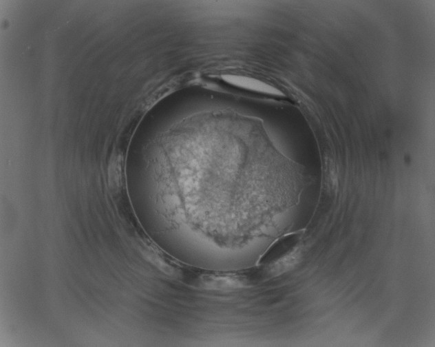 X0000067830475200604271559