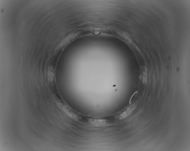 X0000067830476200604271559