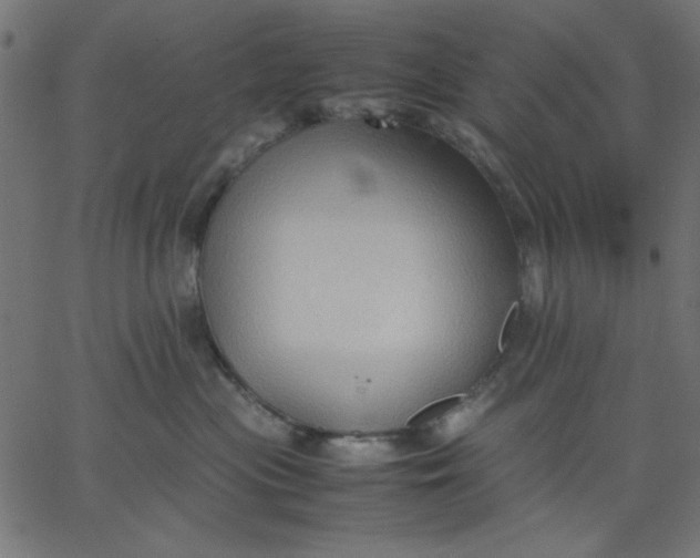 X0000067830477200604271559