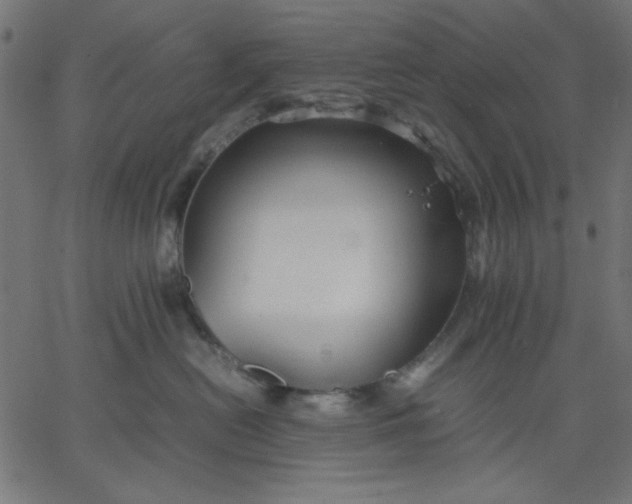 X0000067830478200604271559