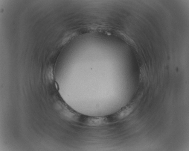 X0000067830479200604271559