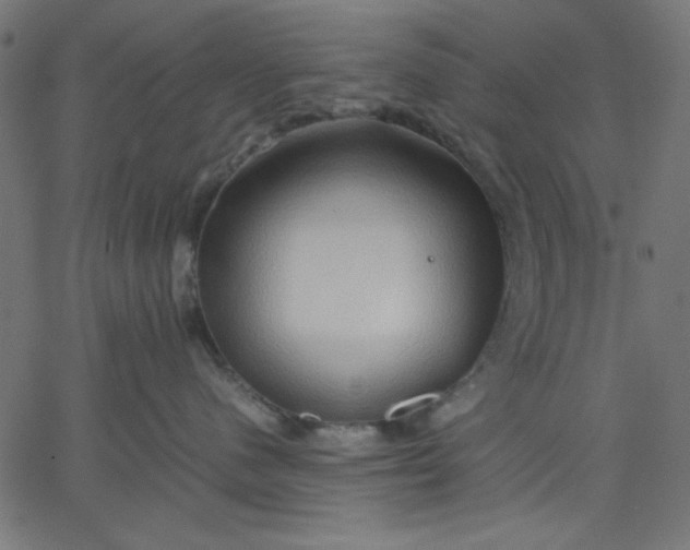 X0000067830480200604271559