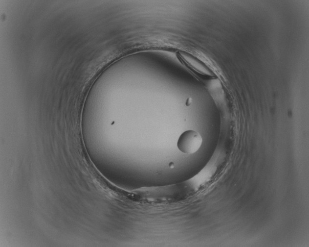 X0000067830481200604271558