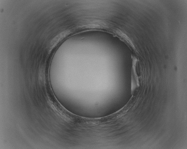 X0000067830482200604271558