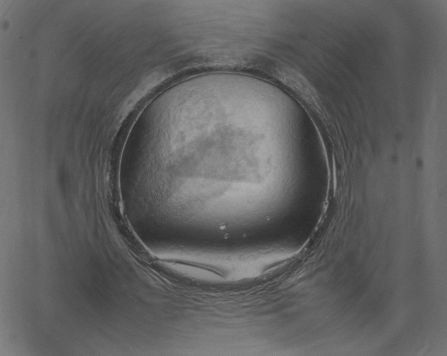 X0000067830483200604271558